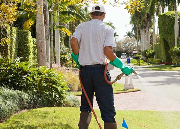 About Blue Gap AZ Pest Control